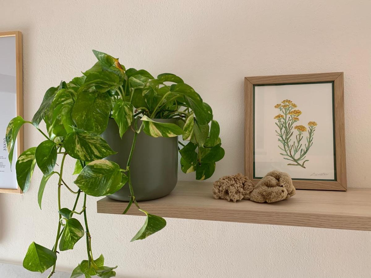 Elicriso Home Porto Torres Zewnętrze zdjęcie