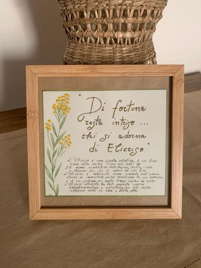 Elicriso Home Porto Torres Zewnętrze zdjęcie